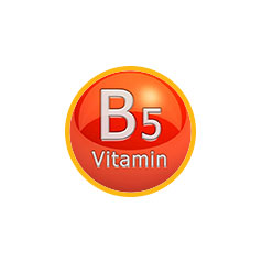 Витамин В5, Пантотеновая кислота