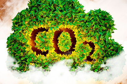 CO2-экстракты